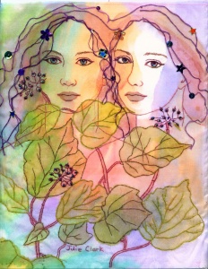 Elderberry Twins