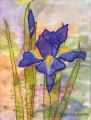 Iris